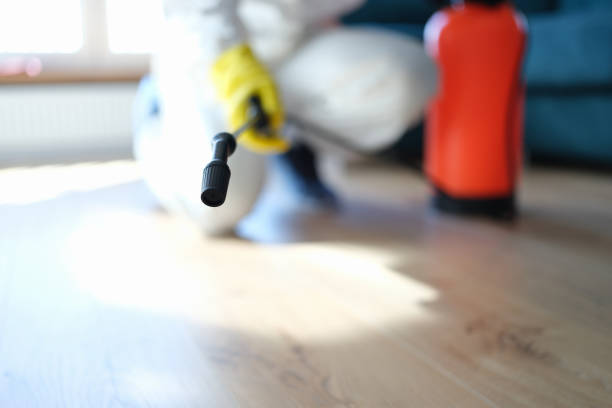 Best Residential Mold Inspection & Testing  in Iowa Falls, IA