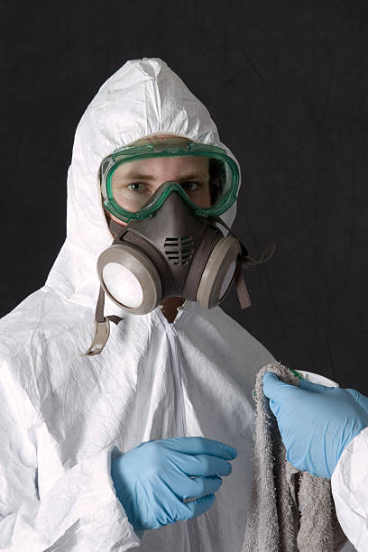 Best Mold Prevention Services  in Iowa Falls, IA